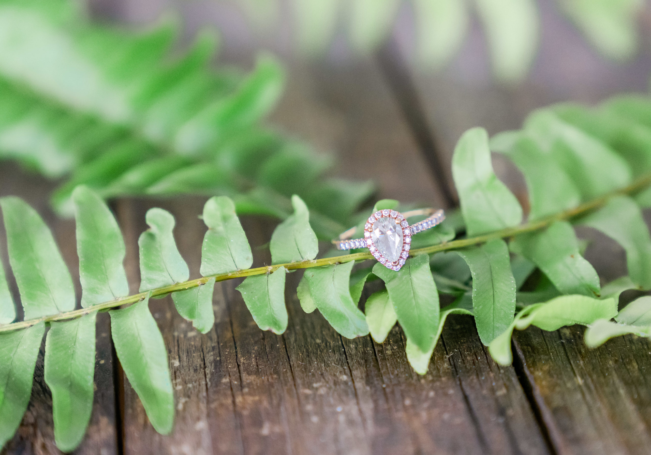 engagement ring on wood and fern leafs at the bluff venue in kingsland georgia
