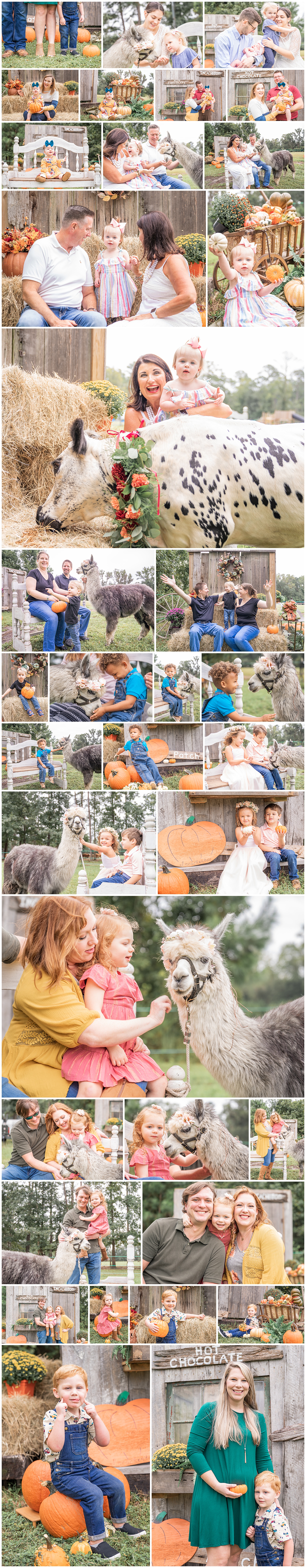 family session with llama in Waverly Georgia