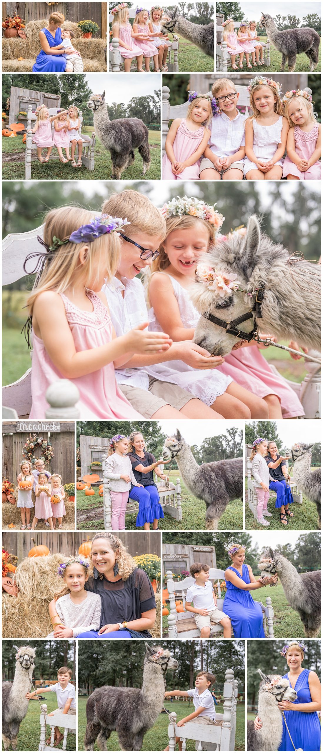 family session with llama in Waverly Georgia