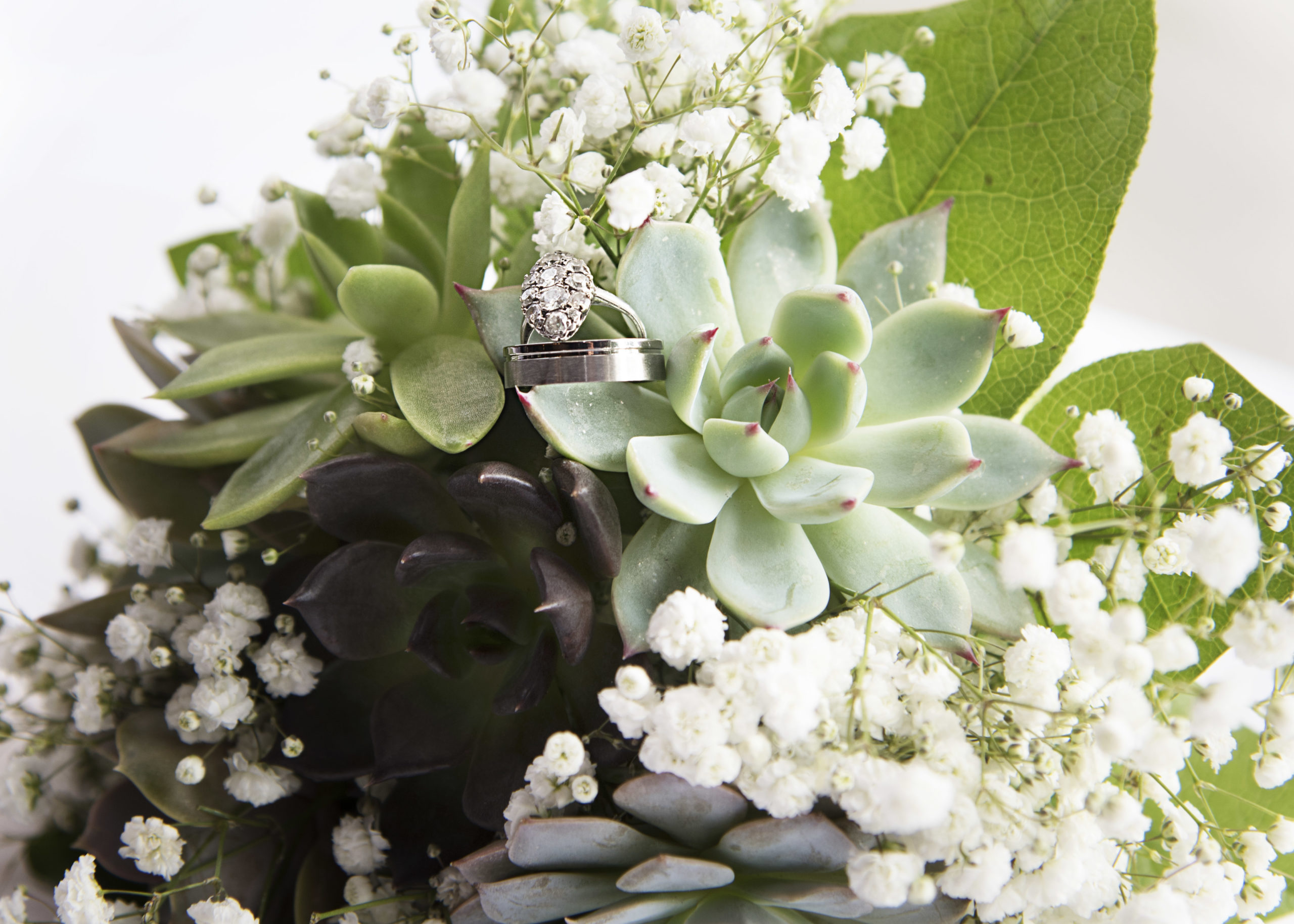 succulent bouquet with wedding rings